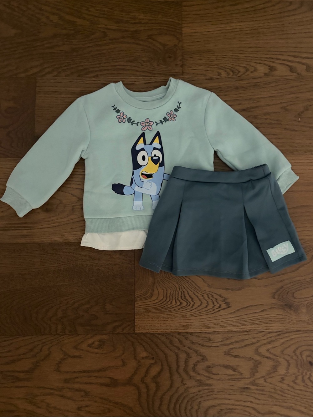 2T Bluey Sweatshirt and Skirt Set | NWOT
